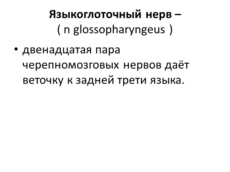 Языкоглоточный нерв –  ( n glossopharyngeus )  двенадцатая пара  черепномозговых нервов